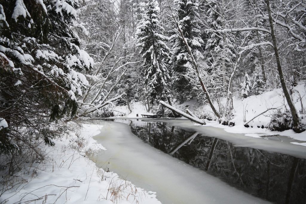 ahja jõgi talvel